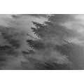 CANVAS PRINT MOUNTAINS IN THE FOG IN BLACK AND WHITE - BLACK AND WHITE PICTURES - PICTURES