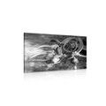 CANVAS PRINT DREAM CATCHER IN BLACK AND WHITE - BLACK AND WHITE PICTURES - PICTURES