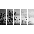 IMPRESSION SUR TOILE EN 5 PARTIES BRINS D'HERBE DANS UN CHAMP EN NOIR ET BLANC - IMPRESSIONS SUR TOILE NOIR ET BLANC - IMPRESSION SUR TOILE