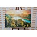 CANVAS PRINT RIVER IN THE MIDDLE OF A GREEN FOREST - PICTURES OF NATURE AND LANDSCAPE - PICTURES