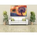 CANVAS PRINT BRIGHT DANDELION - PICTURES FLOWERS - PICTURES