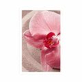 POSTER SEA SAND AND A PINK ORCHID - FENG SHUI - POSTERS