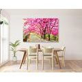 CANVAS PRINT HIMALAYAN CHERRIES - PICTURES OF NATURE AND LANDSCAPE - PICTURES