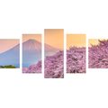 5-PIECE CANVAS PRINT BEAUTIFUL JAPAN - PICTURES OF NATURE AND LANDSCAPE - PICTURES