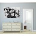 CANVAS PRINT SPRING TULIPS IN BLACK AND WHITE - BLACK AND WHITE PICTURES - PICTURES