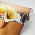 WALLPAPER ELEGANT CALLA FLOWERS - ABSTRACT WALLPAPERS - WALLPAPERS