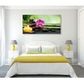 CANVAS PRINT FENG SHUI STILL LIFE - PICTURES FENG SHUI - PICTURES