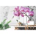 SELF ADHESIVE WALLPAPER FUTURISTIC ORCHID - SELF-ADHESIVE WALLPAPERS{% if product.category.pathNames[0] != product.category.name %} - WALLPAPERS{% endif %}