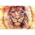 WALLPAPER LION FACE - WALLPAPERS ANIMALS - WALLPAPERS