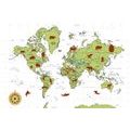 SELF ADHESIVE WALLPAPER MAP WITH ANIMALS - SELF-ADHESIVE WALLPAPERS - WALLPAPERS