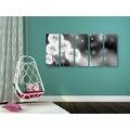 5-PIECE CANVAS PRINT FLUFFY DANDELION IN BLACK AND WHITE - BLACK AND WHITE PICTURES - PICTURES