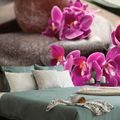 WALL MURAL BEAUTIFUL ORCHID AND ZEN STONES - WALLPAPERS FENG SHUI - WALLPAPERS