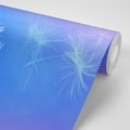 SELF ADHESIVE WALLPAPER DANDELION ON A BLUE BACKGROUND - SELF-ADHESIVE WALLPAPERS - WALLPAPERS