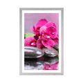 POSTER MIT PASSEPARTOUT ORCHIDEE MIT HAUCH VON ENTSPANNUNG - BLUMEN - POSTER