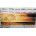 CANVAS PRINT LONELY TREE - PICTURES OF NATURE AND LANDSCAPE - PICTURES