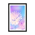 AFFICHE AVEC MONTURE FLEUR DE CHRYSANTHÈME - FLEURS - AFFICHES