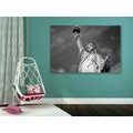 CANVAS PRINT STATUE OF LIBERTY IN BLACK AND WHITE - BLACK AND WHITE PICTURES - PICTURES