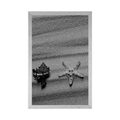 POSTER SEASHELLS ON A SANDY BEACH IN BLACK AND WHITE - BLACK AND WHITE - POSTERS
