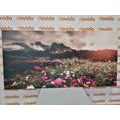 CANVAS PRINT MEADOW OF BLOOMING FLOWERS - PICTURES OF NATURE AND LANDSCAPE - PICTURES