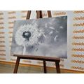 CANVAS PRINT MAGICAL DANDELION IN BLACK AND WHITE - BLACK AND WHITE PICTURES - PICTURES