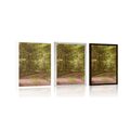 FRAMED POSTER GREEN FOREST - NATURE - POSTERS