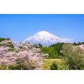 CANVAS PRINT FUJI VOLCANO - PICTURES OF NATURE AND LANDSCAPE - PICTURES