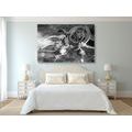 CANVAS PRINT DREAM CATCHER IN BLACK AND WHITE - BLACK AND WHITE PICTURES - PICTURES