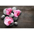 WALL MURAL ZEN COMPOSITION WITH AN ORCHID - WALLPAPERS FENG SHUI - WALLPAPERS