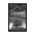 AFFICHE ARBRES SOLITAIRES EN NOIR ET BLANC - NOIR ET BLANC - AFFICHES