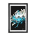 POSTER WITH MOUNT DAISY ON A BLACK BACKGROUND - FLOWERS - POSTERS