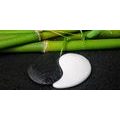 CANVAS PRINT YIN AND YANG SYMBOL - PICTURES FENG SHUI - PICTURES