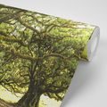 WALL MURAL FOREST COVERED WITH MOSS - WALLPAPERS NATURE - WALLPAPERS