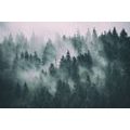 SELF ADHESIVE WALL MURAL FOREST IN THE FOG - WALLPAPERS - 🔥 TOTAL SALE 🔥