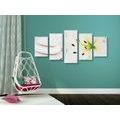 5-PIECE CANVAS PRINT LILY AND MASSAGE STONES IN WHITE DESIGN - PICTURES FENG SHUI - PICTURES