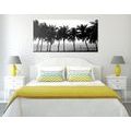 CANVAS PRINT SUNSET OVER PALM TREES IN BLACK AND WHITE - BLACK AND WHITE PICTURES{% if product.category.pathNames[0] != product.category.name %} - PICTURES{% endif %}