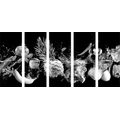 5-PIECE CANVAS PRINT ORGANIC FRUITS AND VEGETABLES IN BLACK AND WHITE - BLACK AND WHITE PICTURES - PICTURES