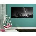 CANVAS PRINT STARRY SKY ABOVE THE ROCKS IN BLACK AND WHITE - BLACK AND WHITE PICTURES - PICTURES