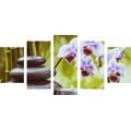 5-PIECE CANVAS PRINT SPA STILL LIFE - PICTURES FENG SHUI - PICTURES