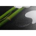 CANVAS PRINT SPA STILL LIFE AND YIN AND YANG STONES - PICTURES FENG SHUI - PICTURES