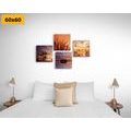 CANVAS PRINT SET NATURE IN A ROMANTIC DESIGN - SET OF PICTURES - PICTURES