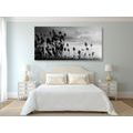 CANVAS PRINT GRASS BLADES ON A FIELD IN BLACK AND WHITE - BLACK AND WHITE PICTURES - PICTURES