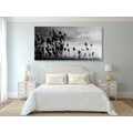 IMPRESSION SUR TOILE BRINS D'HERBE SUR UN CHAMP EN NOIR ET BLANC - IMPRESSIONS SUR TOILE NOIR ET BLANC - IMPRESSION SUR TOILE