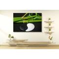 CANVAS PRINT STONES IN THE SHAPE OF YIN AND YANG - PICTURES FENG SHUI - PICTURES