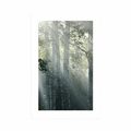 POSTER WITH MOUNT SUN RAYS IN A FOGGY FOREST - NATURE - POSTERS