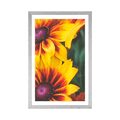 POSTER MIT PASSEPARTOUT ATTRAKTIVE ZWEIFARBIGE BLUMEN - BLUMEN - POSTER