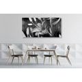 CANVAS PRINT LILY BLOSSOM IN BLACK AND WHITE - BLACK AND WHITE PICTURES - PICTURES