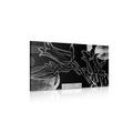 CANVAS PRINT ETHNIC FLOWERS IN BLACK AND WHITE - BLACK AND WHITE PICTURES - PICTURES