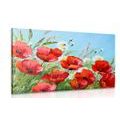 PICTURE PAINTED FIELD POPPIES - PICTURES FLOWERS{% if kategorie.adresa_nazvy[0] != zbozi.kategorie.nazev %} - PICTURES{% endif %}