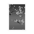 POSTER BLACK AND WHITE BIRDS ON A TREE BRANCH - BLACK AND WHITE - POSTERS