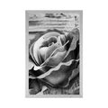 POSTER ELEGANT VINTAGE ROSE IN BLACK AND WHITE - BLACK AND WHITE - POSTERS